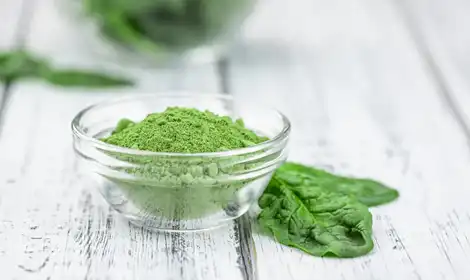 Where to Buy Freeze Dried Spinach Powder from Reliable Suppliers?